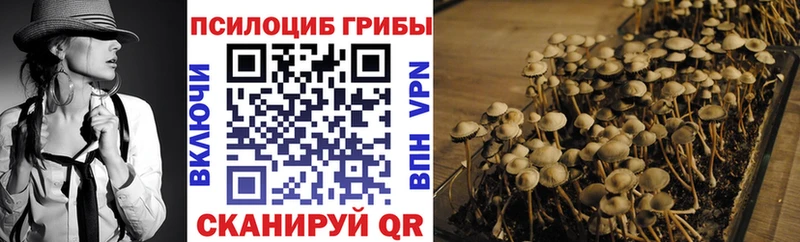 Галлюциногенные грибы Psilocybine cubensis  Чекалин 